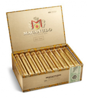 Macanudo Gold Hampton Court (Tubo)